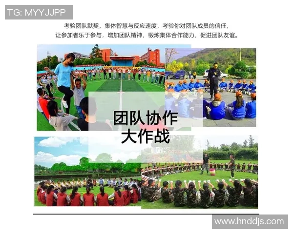 聚焦教练成长与团队协作提升的关键策略与实战技巧分析