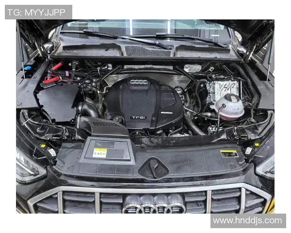 汽车保养全指南 提升汽车性能延长使用寿命的有效策略与方法