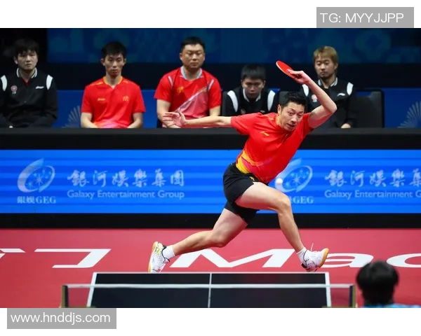 乒乓球实力榜单揭晓北京乒乓球队荣获第五名佳绩